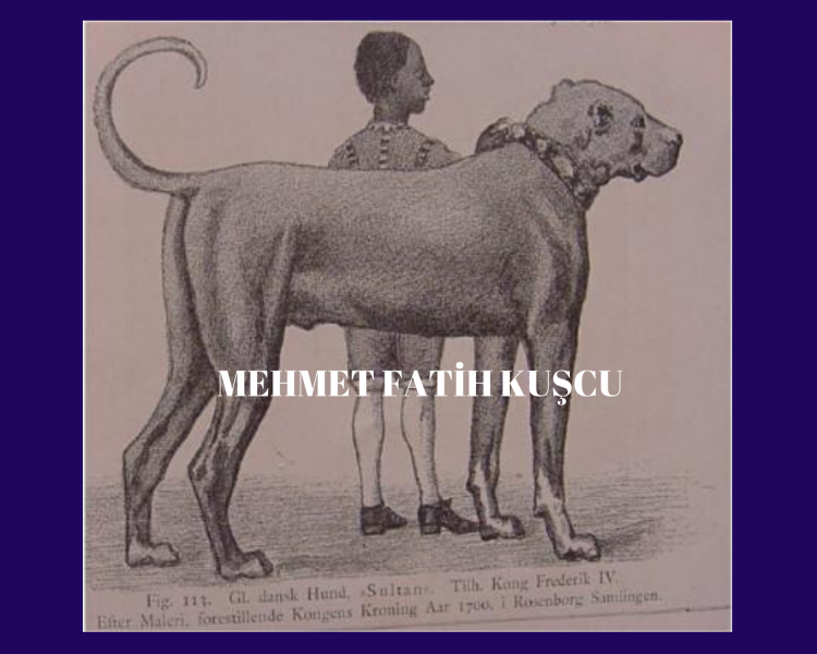 Риджбек Хантер