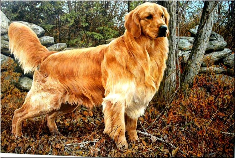 Ксолоитцкуинтли Анубис