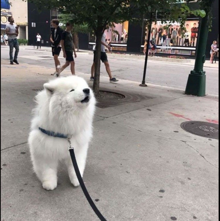 Пушистое облачко