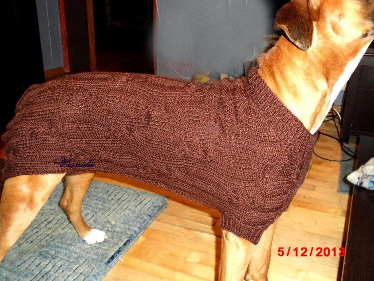 Реглан для собаки