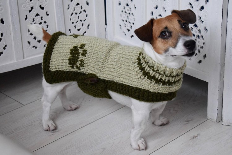 Вязаная одежда для собак спицами