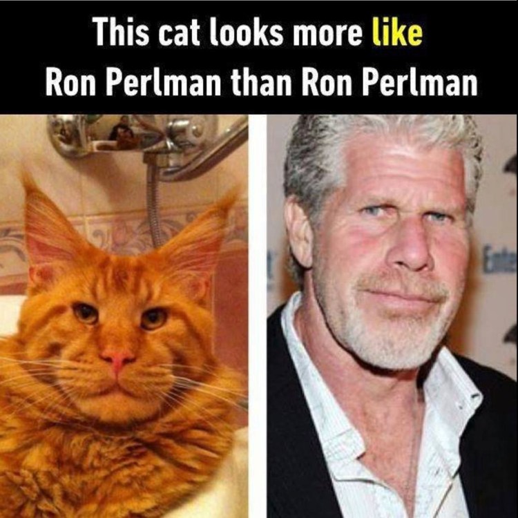 Стив Бушеми косоглазый