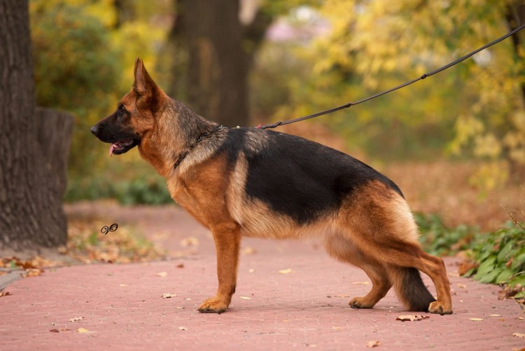 Езовских Римма Саранск