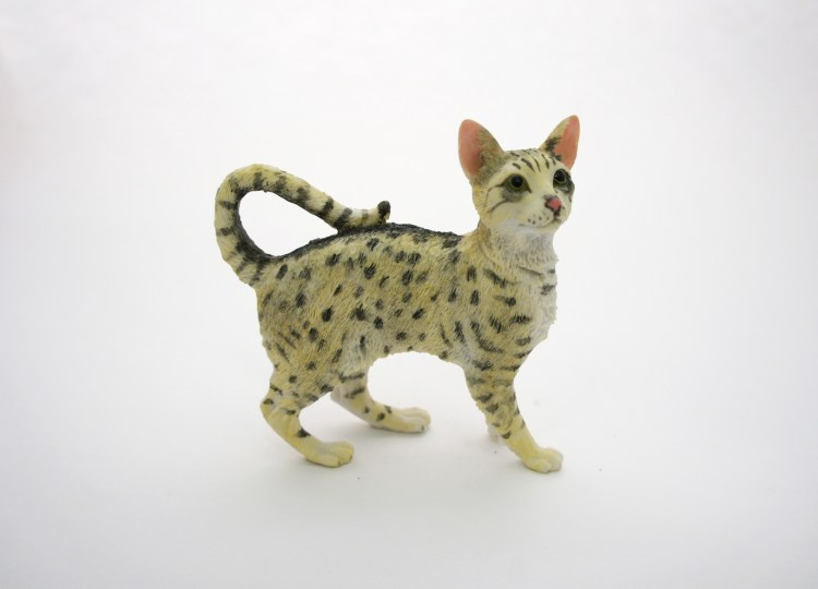 Абиссинский кот пятнистый