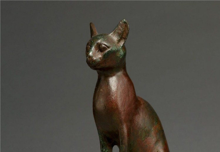 Энимал Кроссинг Ankha