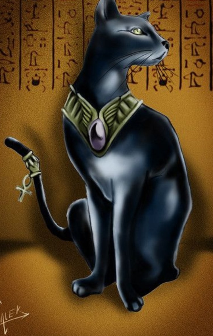 Фараон кошка Египет