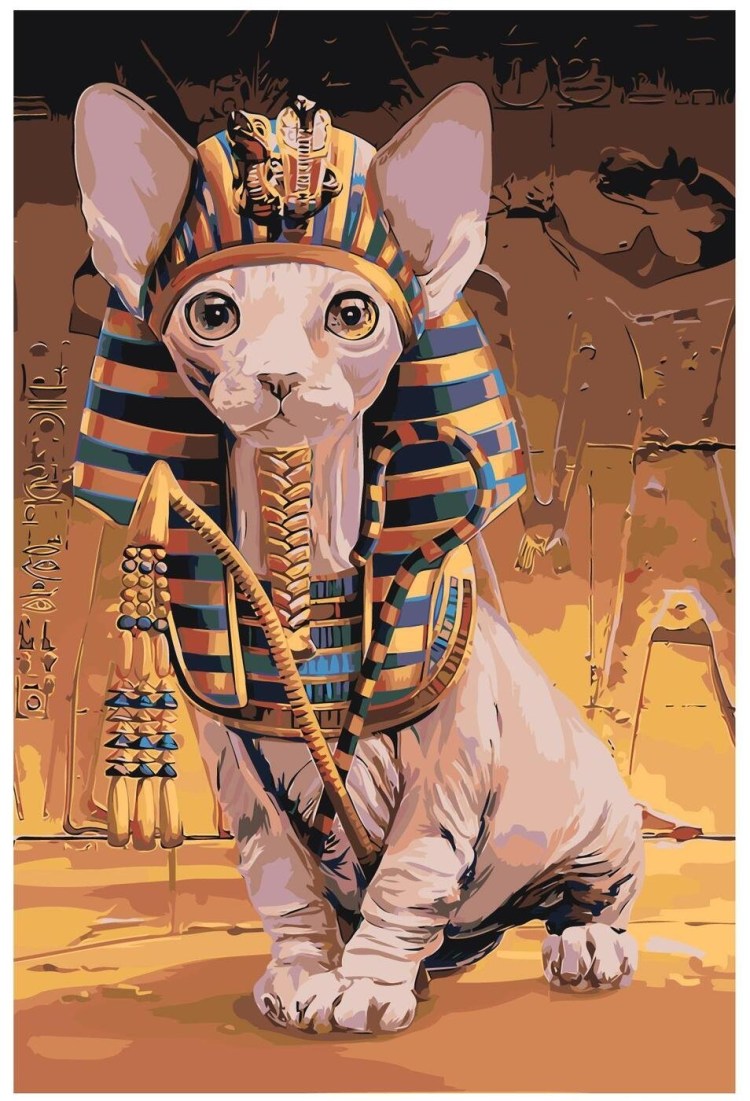 Египетский кот черный