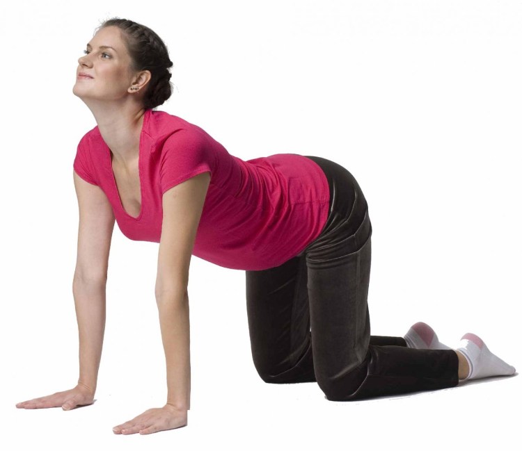 Ардха Марджариасана