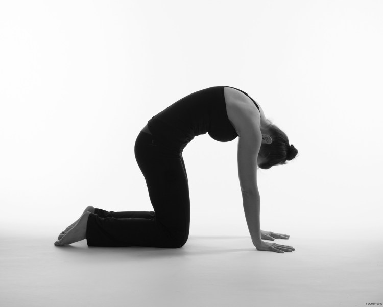 Девушка в позе кошки