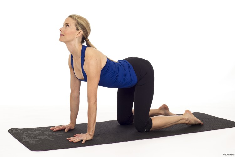 Упражнение кошка