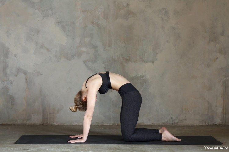 Марджариасана поза кошки