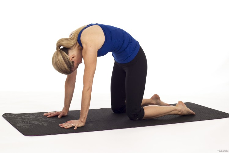 Кошка в йоге