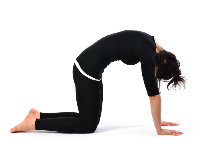 Красивые девушки занимаются йогой