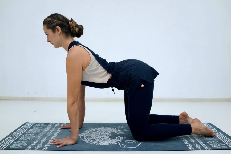 Упражнение кошечка