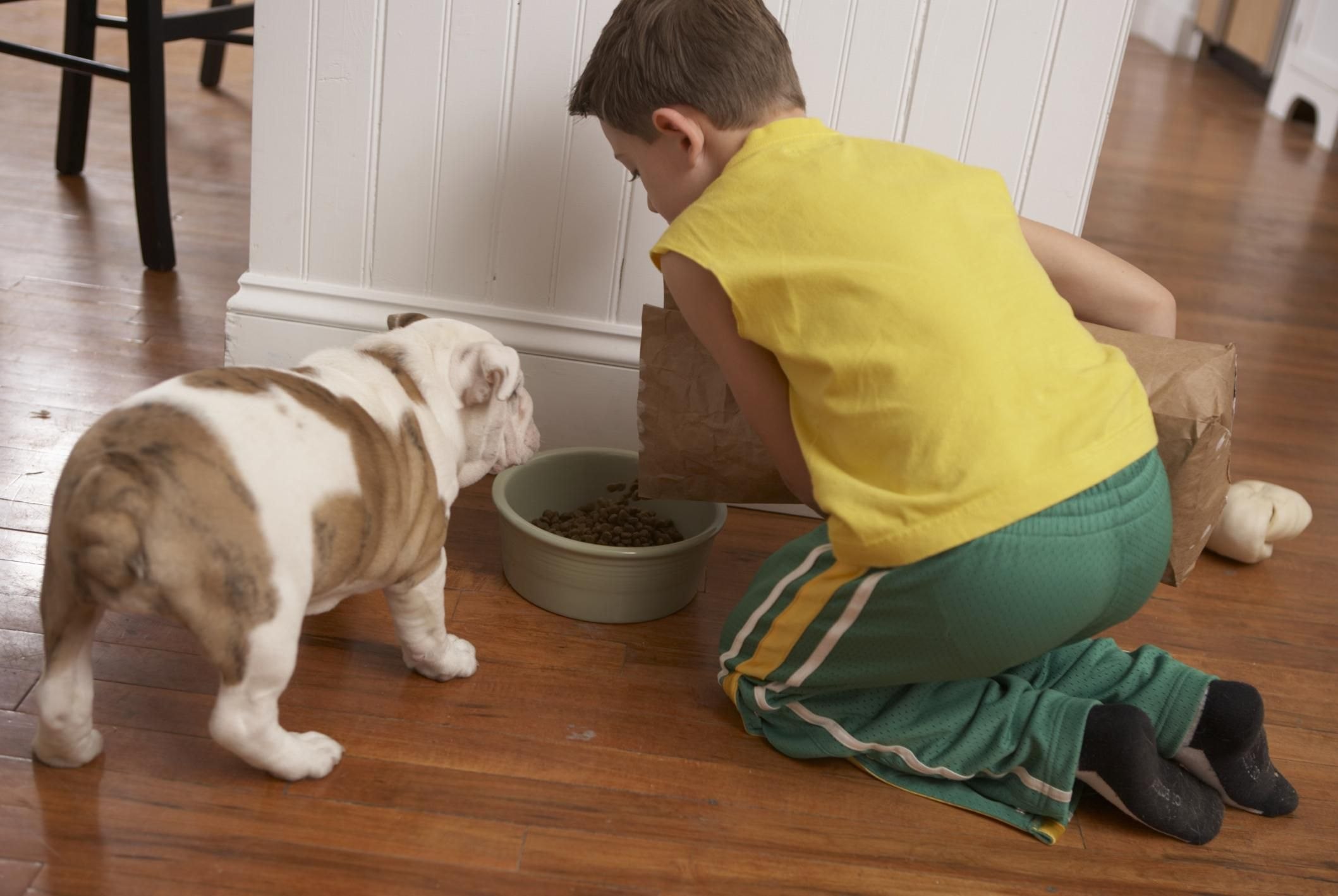 Собака блюет травой. Приучение. Feed the Pet. Feed the Dog. Beat the Pet.