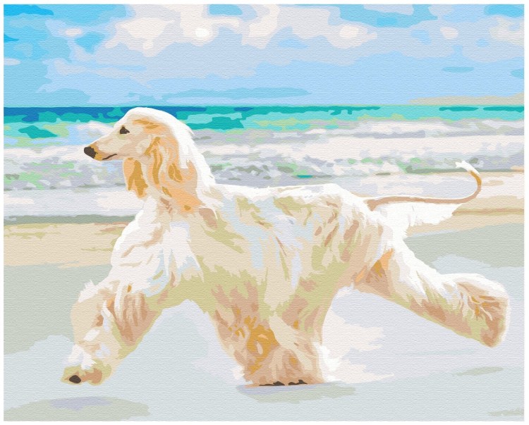 Афганские Борзые