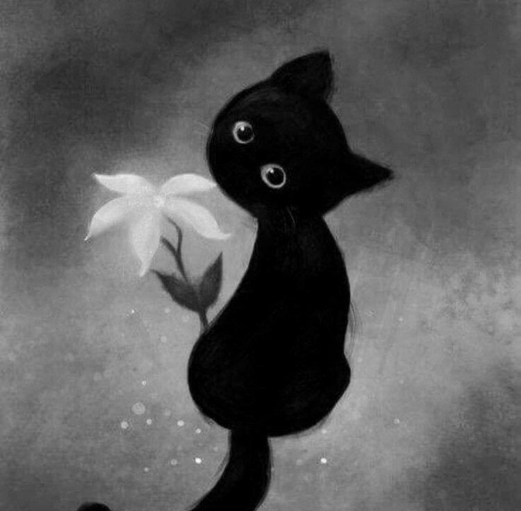 Кот с цветами в зубах