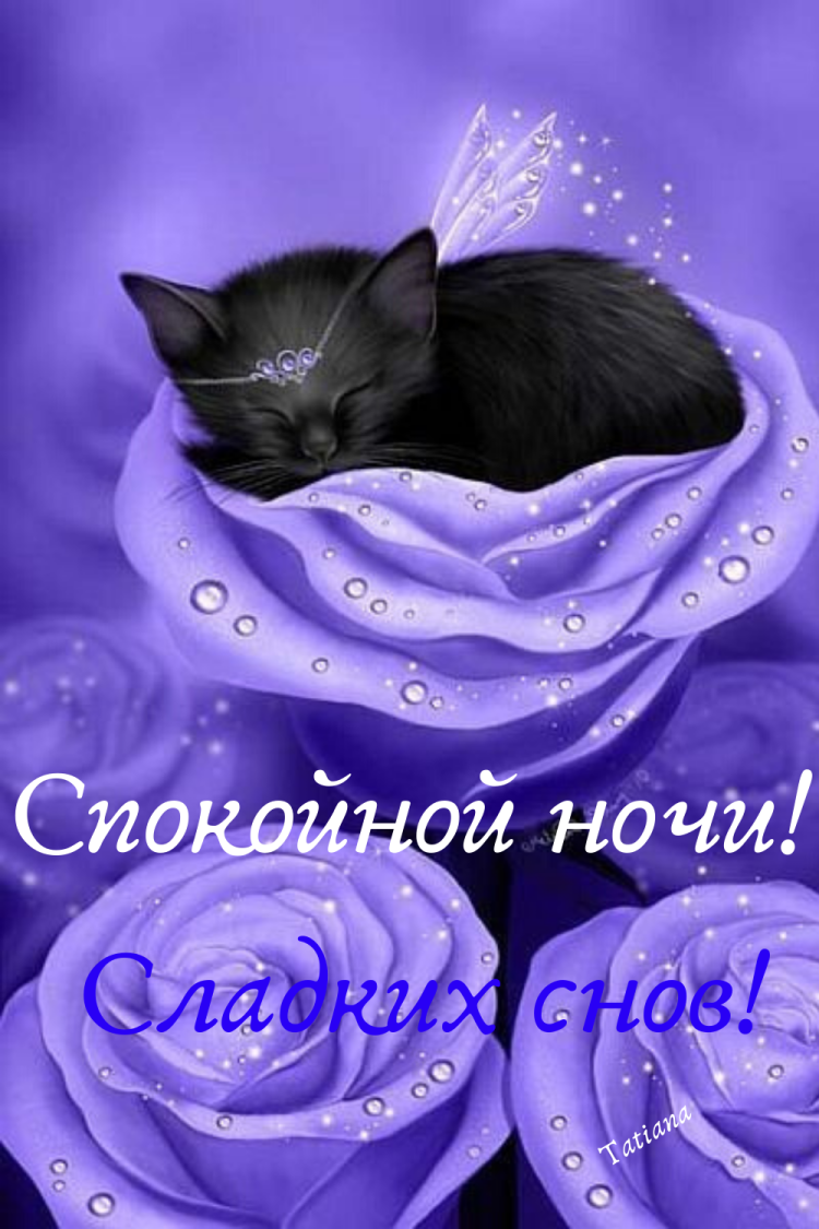 Черная кошка фэнтези