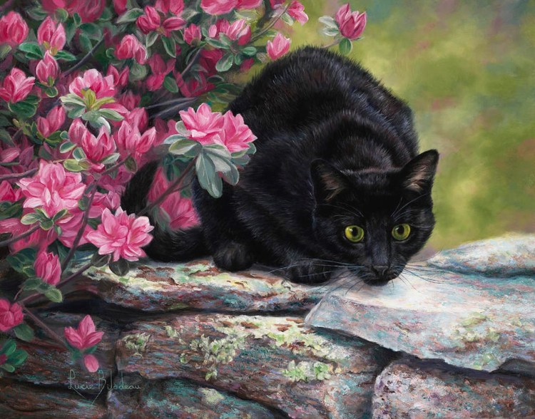 Черный кот с цветами