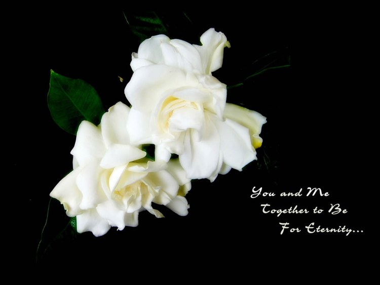 Красивые черные картинки