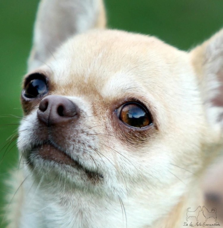 Картинки очуметь прикольные