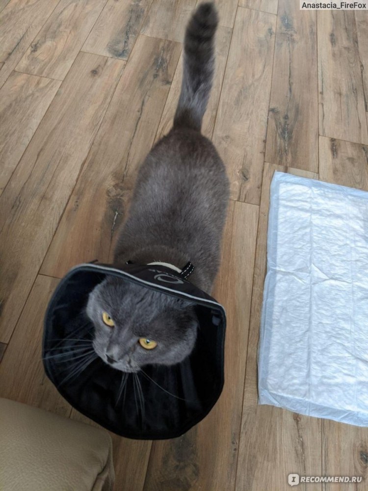 Шов после стерилизации