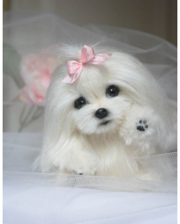 Йоркшир к Йоркширский терьер