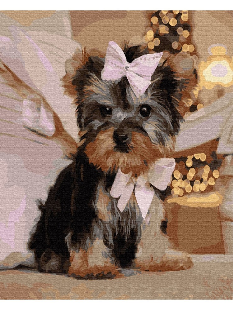 Маленькие собачки Йоркширский терьер