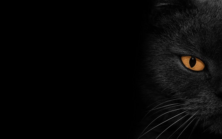 Черная картинка