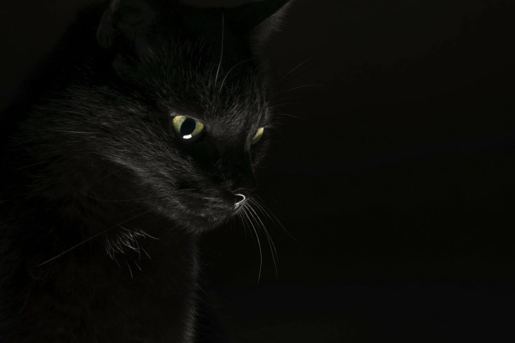 Телевизор TCL led40d2910 40" (2019)