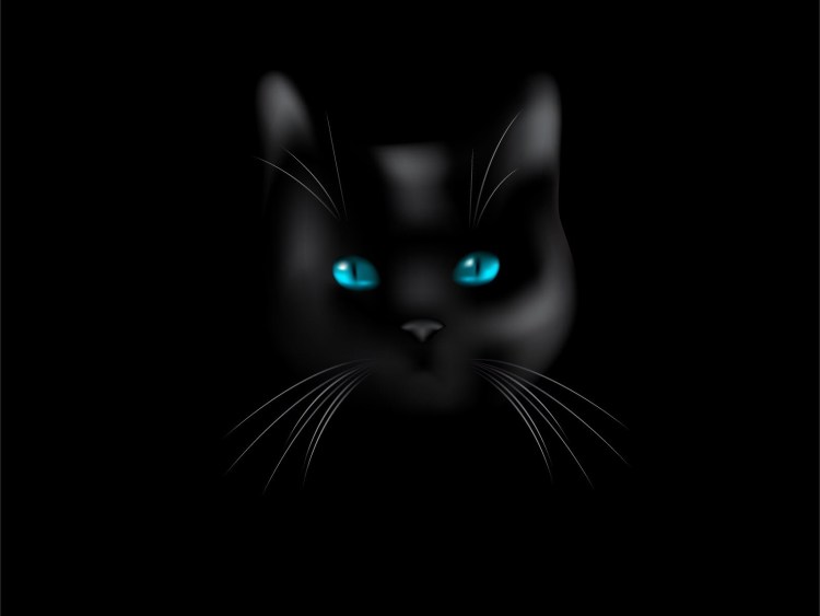 Черная кошка на черном фоне