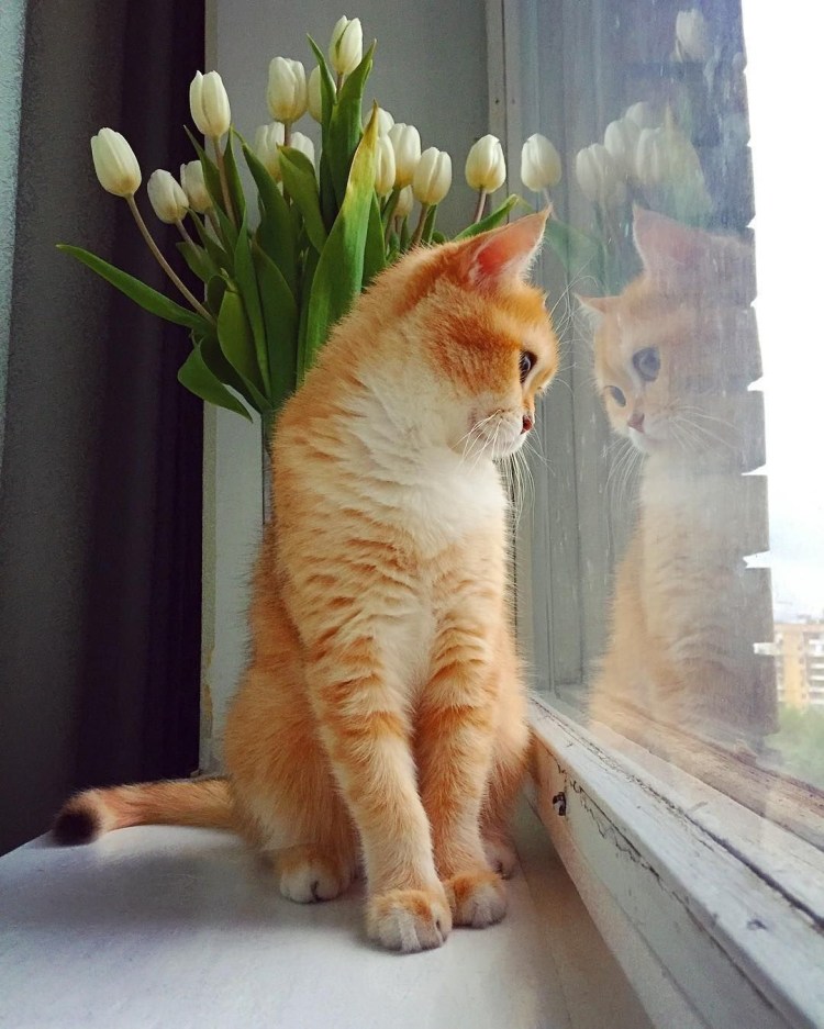 Утренние потягушки