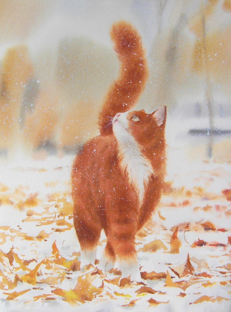 Доброе утро кот