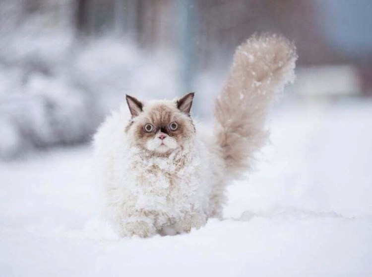 До зимы осталось 3 дня