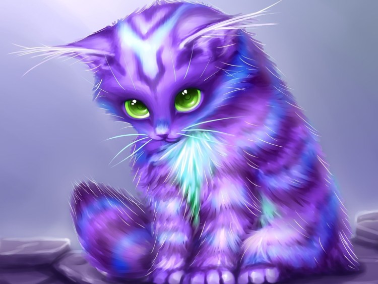 Фиолетовый кот