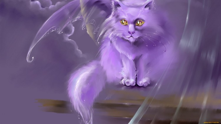 Милый котик в шапочке