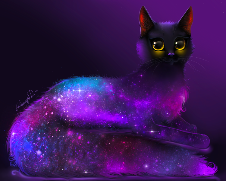 Фиолетовый котик