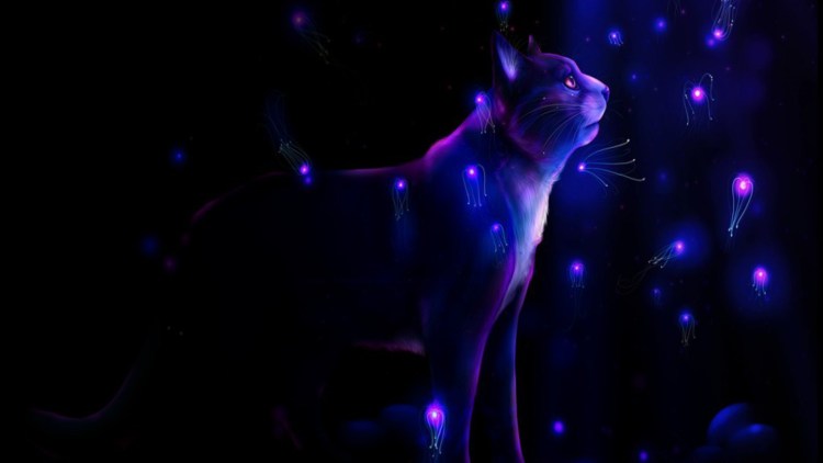 Кошка с фиолетовыми глазами