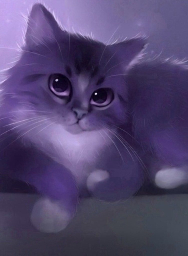 Фиолетовый кот