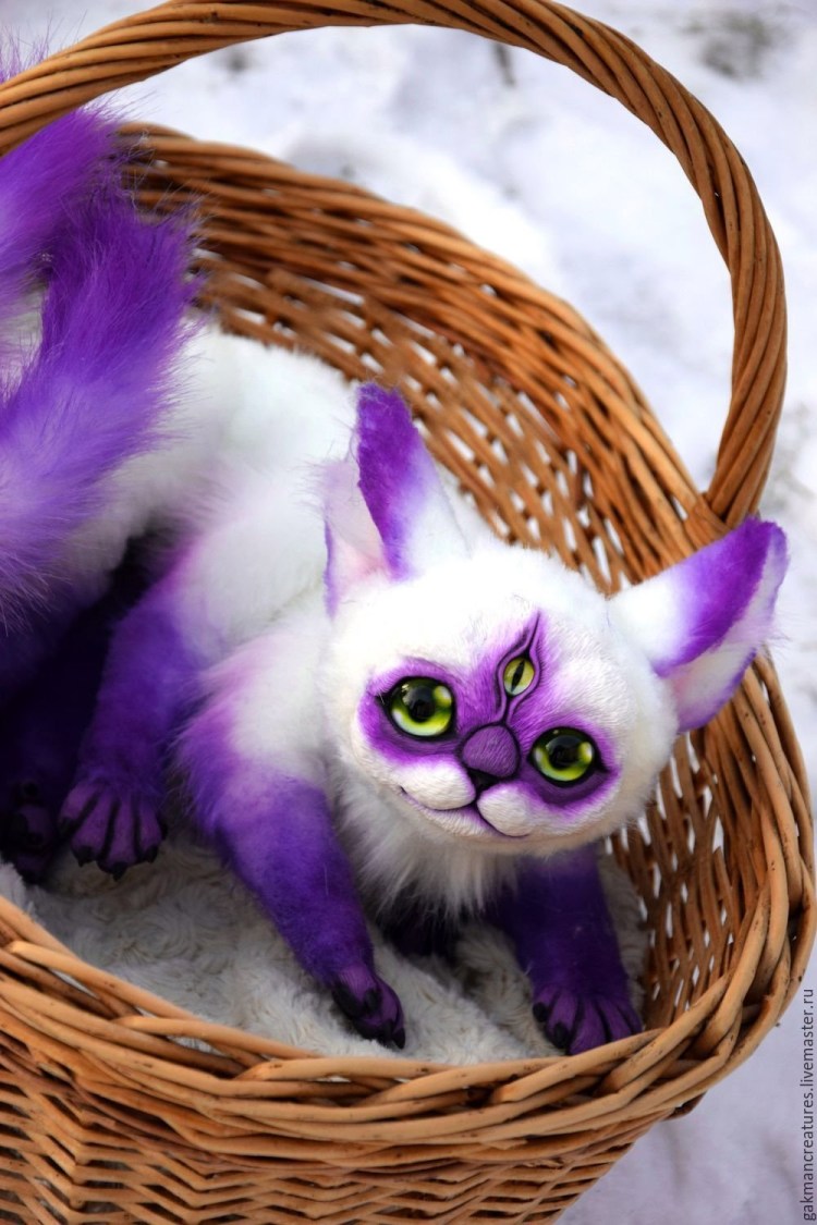 Кошка с фиолетовой шерстью