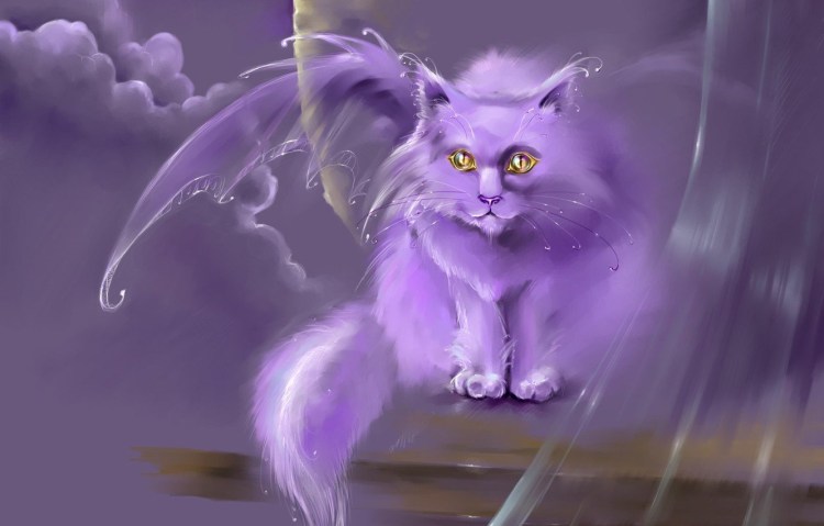 Кошка в фиолетовых очках