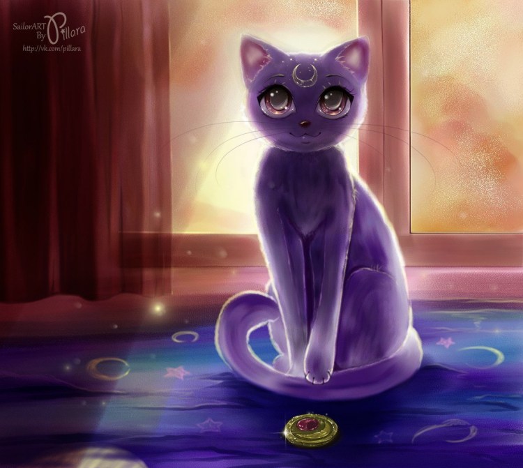 Кот в очках