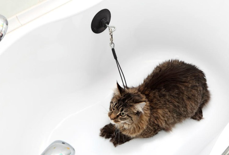 Приспособление для мойки кошек