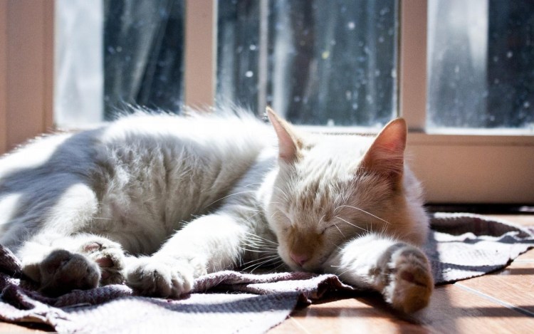 Тепло иллюстрация