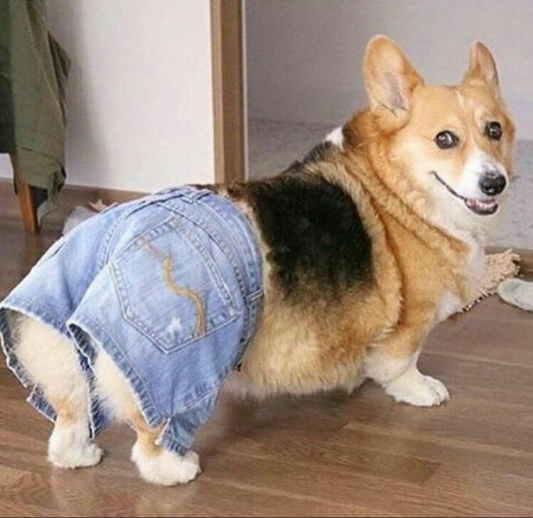 Пушистые ягодицы