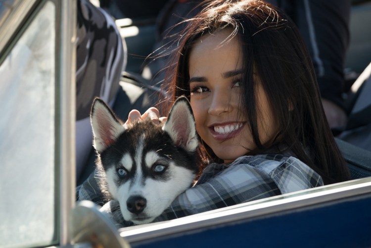 Ксолоитцкуинтли Анубиса