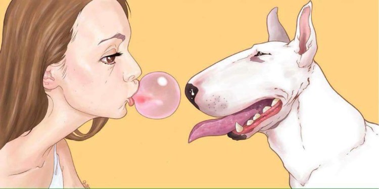 Слюнявая собака из мультика