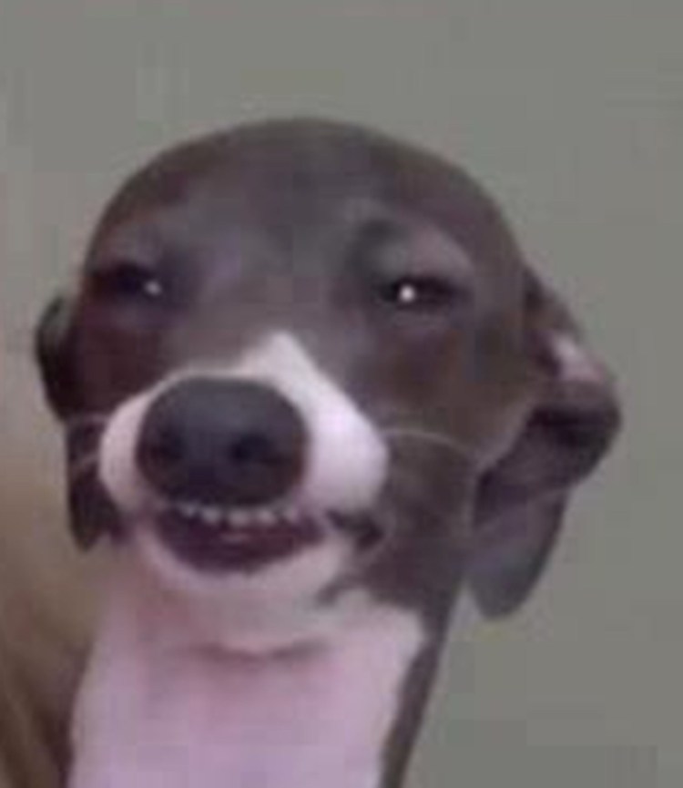 Косточка для собак