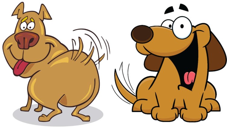 Кхех Мем с мопсом