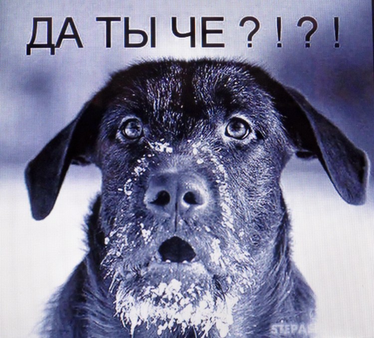 Смешная гифка